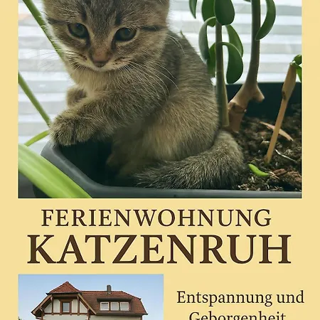 Privates Ferien Katzenruh * Lauenburg